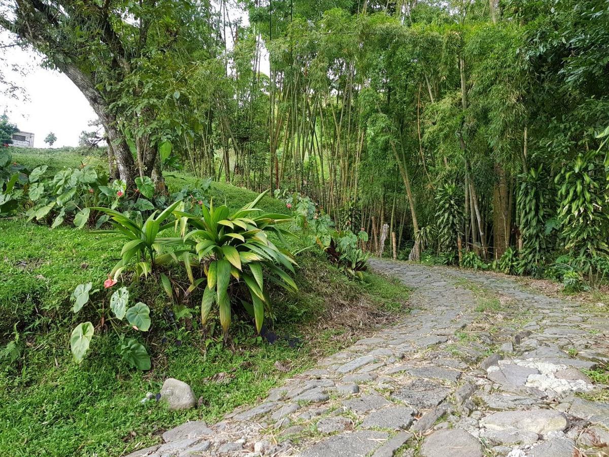 Lodge Paraiso Verde La Linda Экстерьер фото