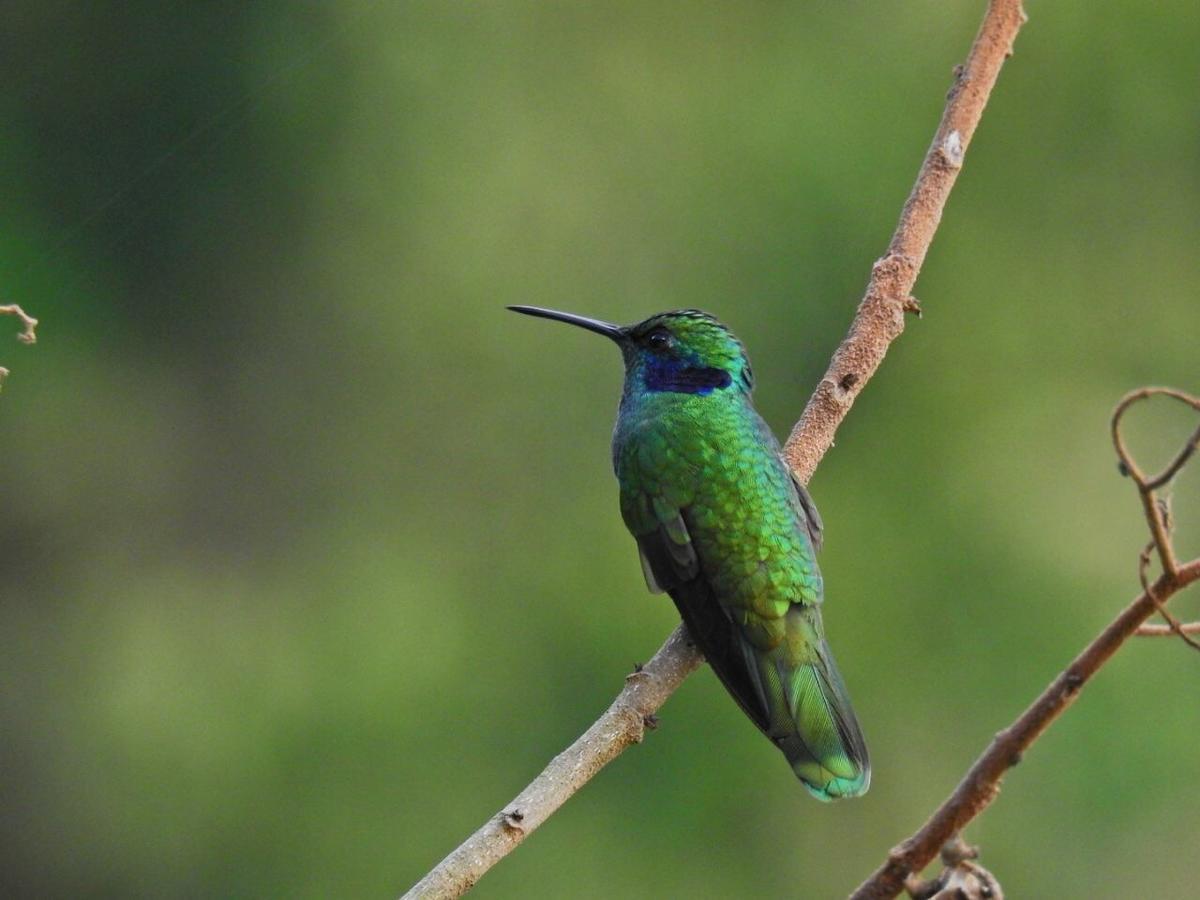 Lodge Paraiso Verde La Linda Экстерьер фото